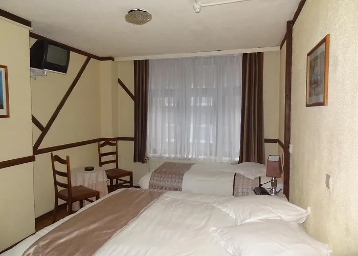 Konukevi Logies Ocelot *