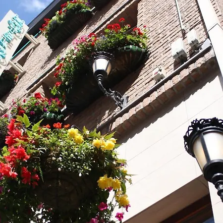 Logies Ocelot Πανσιόν Οστένδη