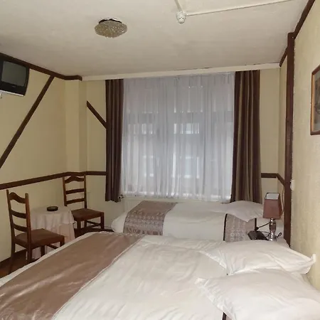 Πανσιόν Logies Ocelot *